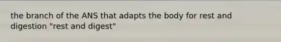 the branch of the ANS that adapts the body for rest and digestion "rest and digest"