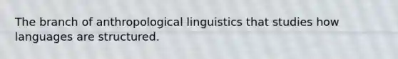 The branch of anthropological linguistics that studies how languages are structured.