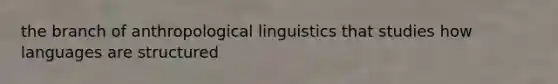 the branch of anthropological linguistics that studies how languages are structured