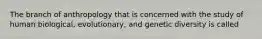 The branch of anthropology that is concerned with the study of human biological, evolutionary, and genetic diversity is called