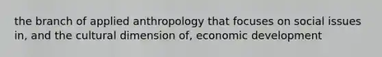 the branch of applied anthropology that focuses on social issues in, and the cultural dimension of, economic development