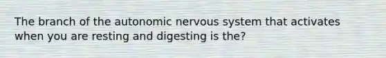 The branch of the autonomic nervous system that activates when you are resting and digesting is the?