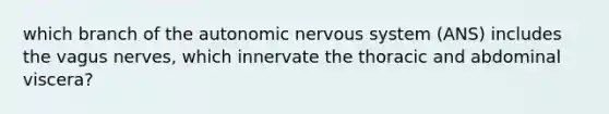 which branch of the autonomic nervous system (ANS) includes the vagus nerves, which innervate the thoracic and abdominal viscera?