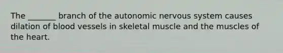 The _______ branch of the autonomic nervous system causes dilation of blood vessels in skeletal muscle and the muscles of the heart.