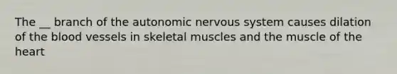 The __ branch of the autonomic nervous system causes dilation of the blood vessels in skeletal muscles and the muscle of the heart