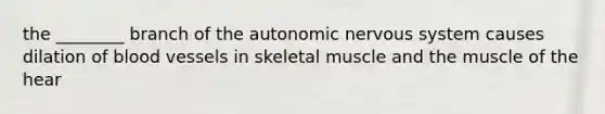 the ________ branch of the autonomic nervous system causes dilation of blood vessels in skeletal muscle and the muscle of the hear