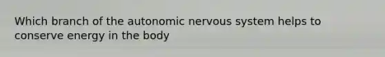 Which branch of the autonomic nervous system helps to conserve energy in the body