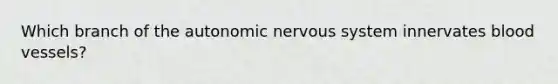 Which branch of the autonomic nervous system innervates blood vessels?