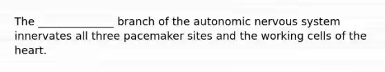 The ______________ branch of the autonomic nervous system innervates all three pacemaker sites and the working cells of the heart.