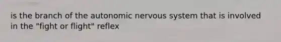 is the branch of the autonomic nervous system that is involved in the "fight or flight" reflex