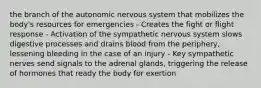 the branch of the autonomic nervous system that mobilizes the body's resources for emergencies - Creates the fight or flight response - Activation of the sympathetic nervous system slows digestive processes and drains blood from the periphery, lessening bleeding in the case of an injury - Key sympathetic nerves send signals to the adrenal glands, triggering the release of hormones that ready the body for exertion