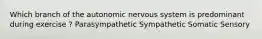 Which branch of the autonomic nervous system is predominant during exercise ? Parasympathetic Sympathetic Somatic Sensory