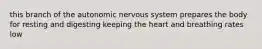 this branch of the autonomic nervous system prepares the body for resting and digesting keeping the heart and breathing rates low