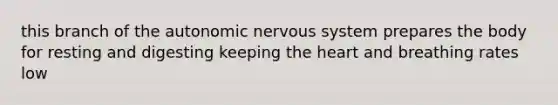 this branch of the autonomic nervous system prepares the body for resting and digesting keeping the heart and breathing rates low