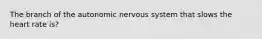 The branch of the autonomic nervous system that slows the heart rate is?