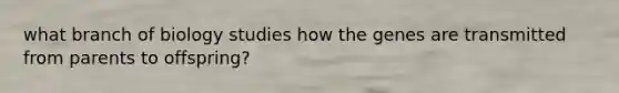 what branch of biology studies how the genes are transmitted from parents to offspring?
