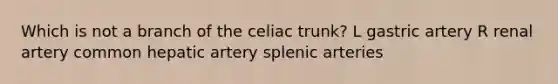 Which is not a branch of the celiac trunk? L gastric artery R renal artery common hepatic artery splenic arteries