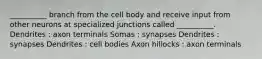 __________ branch from the cell body and receive input from other neurons at specialized junctions called __________. Dendrites : axon terminals Somas : synapses Dendrites : synapses Dendrites : cell bodies Axon hillocks : axon terminals