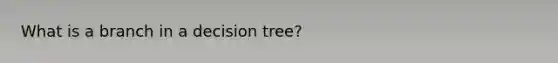 What is a branch in a decision tree?