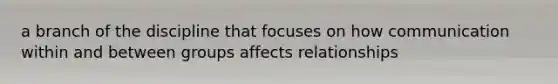 a branch of the discipline that focuses on how communication within and between groups affects relationships