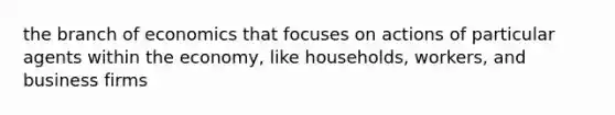 the branch of economics that focuses on actions of particular agents within the economy, like households, workers, and business firms