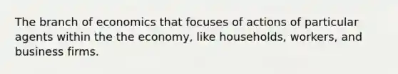 The branch of economics that focuses of actions of particular agents within the the economy, like households, workers, and business firms.