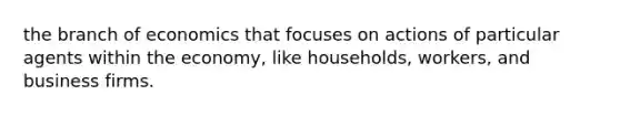 the branch of economics that focuses on actions of particular agents within the economy, like households, workers, and business firms.