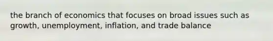 the branch of economics that focuses on broad issues such as growth, unemployment, inflation, and trade balance