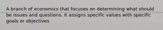 A branch of economics that focuses on determining what should be issues and questions. It assigns specific values with specific goals or objectives