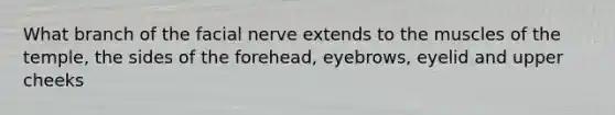 What branch of the facial nerve extends to the muscles of the temple, the sides of the forehead, eyebrows, eyelid and upper cheeks