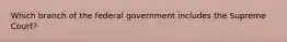 Which branch of the federal government includes the Supreme Court?