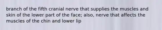 branch of the fifth cranial nerve that supplies the muscles and skin of the lower part of the face; also, nerve that affects the muscles of the chin and lower lip