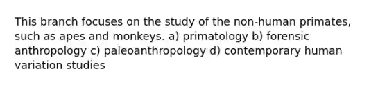 This branch focuses on the study of the non-human primates, such as apes and monkeys. a) primatology b) forensic anthropology c) paleoanthropology d) contemporary human variation studies