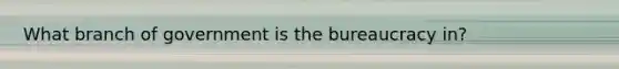 What branch of government is the bureaucracy in?