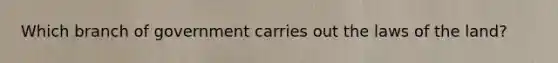 Which branch of government carries out the laws of the land?