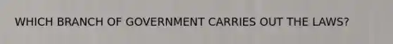 WHICH BRANCH OF GOVERNMENT CARRIES OUT THE LAWS?