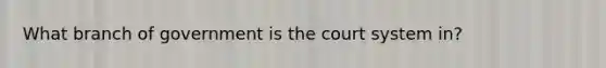 What branch of government is the court system in?
