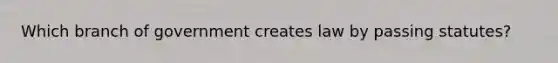 Which branch of government creates law by passing statutes?