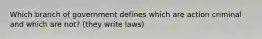 Which branch of government defines which are action criminal and which are not? (they write laws)