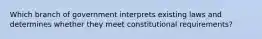 Which branch of government interprets existing laws and determines whether they meet constitutional requirements?