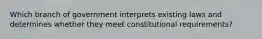 Which branch of government interprets existing laws and determines whether they meet constitutional requirements?​