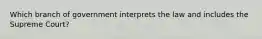 Which branch of government interprets the law and includes the Supreme Court?