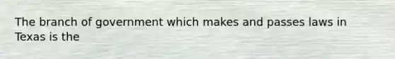The branch of government which makes and passes laws in Texas is the