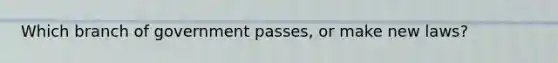 Which branch of government passes, or make new laws?