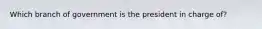 Which branch of government is the president in charge of?