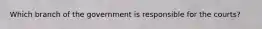Which branch of the government is responsible for the courts?