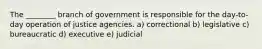 The ________ branch of government is responsible for the day-to-day operation of justice agencies. a) ​correctional b) ​legislative c) ​bureaucratic d) ​executive e) ​judicial