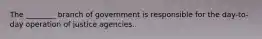 The ________ branch of government is responsible for the day-to-day operation of justice agencies.