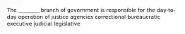 The ________ branch of government is responsible for the day-to-day operation of justice agencies correctional bureaucratic executive judicial legislative