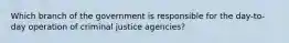 Which branch of the government is responsible for the day-to-day operation of criminal justice agencies?